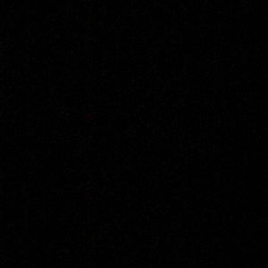 Meet your Posher, Tayler